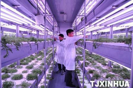 天津高端科技发展农业