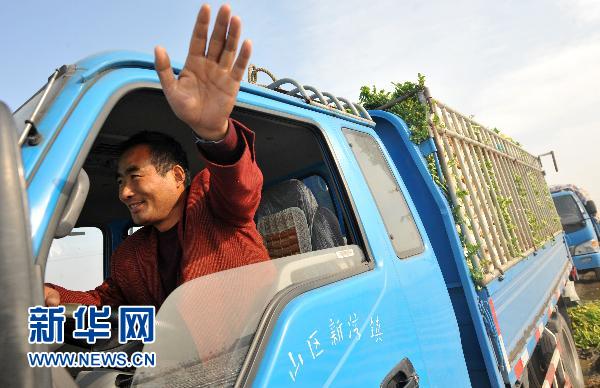 萝卜的“涨价路”