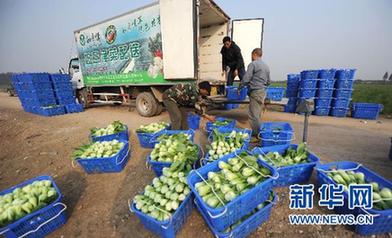农副产品涨价态势初步遏制 稳物价仍面临三大难题