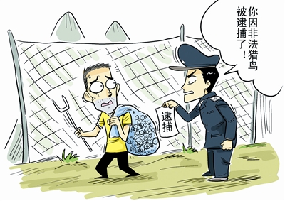 非法猎鸟“第一案”判决