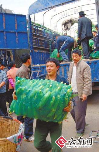 保障蔬菜供应 持特别通行证货车全天都可入城
