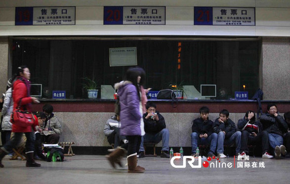 大学生通宵排队抢购火车票 同时复习备考(图)