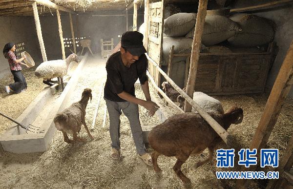中央部署三大自治区发展战略 促又好又快发展