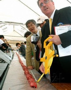 那些无聊的吉尼斯纪录！