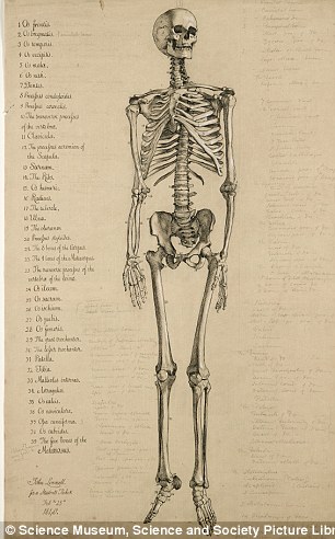 法医解剖过程 图册图片