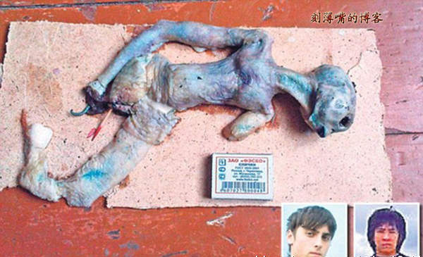 台湾外星人疑造假 图揭历年神秘生物骗局
