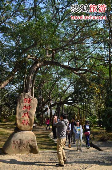 滇西春色挡不住　孔雀之乡德宏体验边境文化