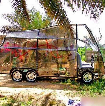 用尿充电手机引围观 惊人发明火爆网络(图)