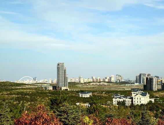 对话鄂尔多斯市长廉素：转型－－资源型城市的抉择