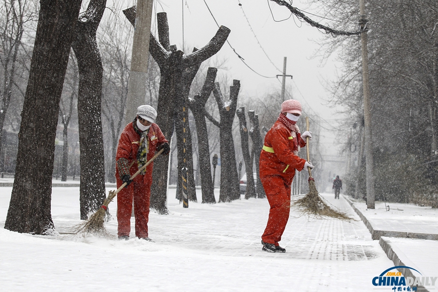 北京迎来马年新春第一场降雪