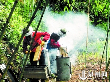 80岁的老人独自守护 即将消逝的古老村庄(图)