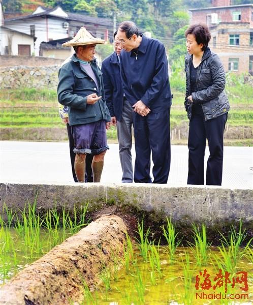 福建省委书记尤权问春耕 老农：“这人挺内行”