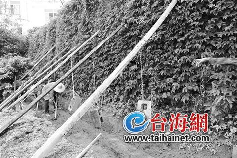 厦门一地下储油罐老化泄漏 地下水暂未受污染(组图)