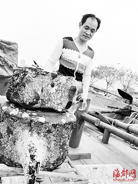 泉州渔民海里捞到两块“黑疙瘩” 疑是恐龙化石