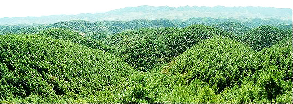 贵州乌蒙山区农民的“生态试验”