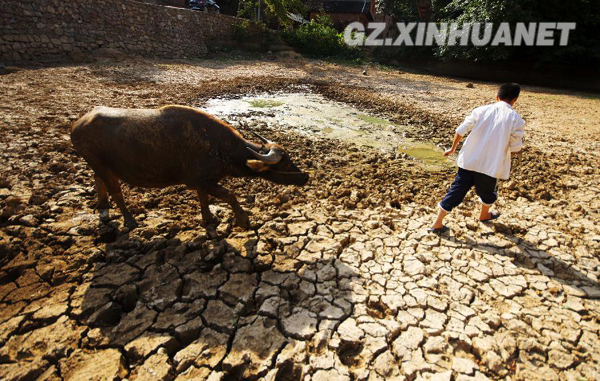 贵州旱情蔓延 重特旱县增至38个