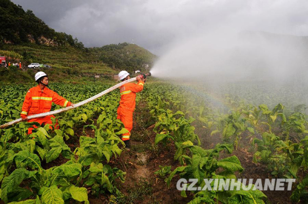 贵州旱情蔓延 重特旱县增至38个