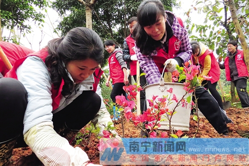 南宁市开展“花样南宁”建设义务植树活动
