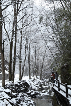 神农架降十年最大春雪