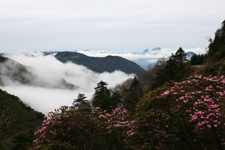 神农架大九湖景区重新开放