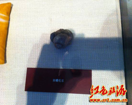 瞻仰沈钧儒纪念馆 寻觅历史足迹