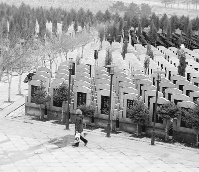 哈尔滨皇山公墓图片