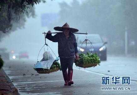 菜价如何不再暴涨暴跌? 菜农的弱势地位需正视