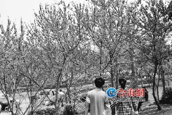 印尼地震东南亚线遇冷 五一出游