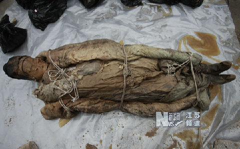 江苏泰州发现明代不腐女尸 睫毛清晰可见