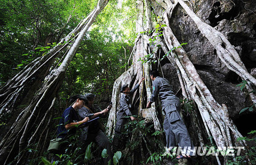 景洪：西双版纳“黎明之城”的美丽容颜