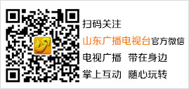 济南“朋友圈”遍全球 泉城国际友城分布在20个国家