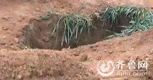 济南章丘麦地突现五米深坑 警方怀疑系盗墓贼所挖