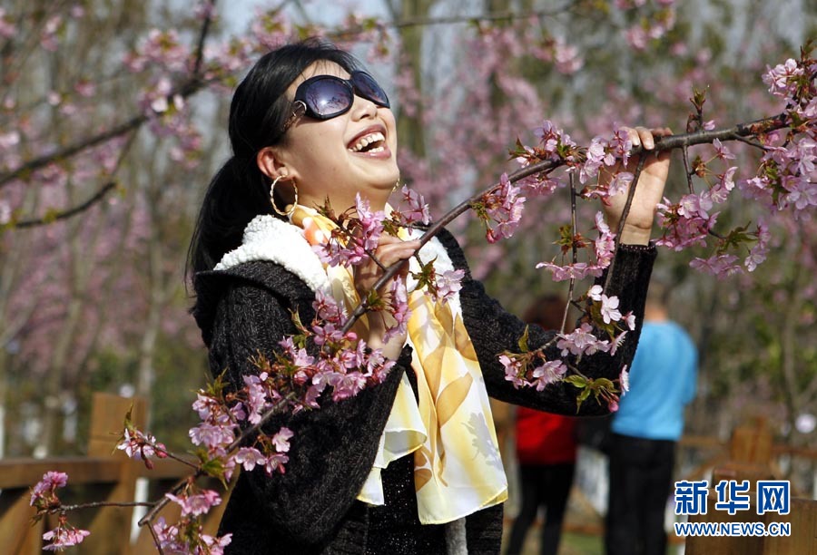 2012上海樱花节“樱之缘”摄影赛开拍