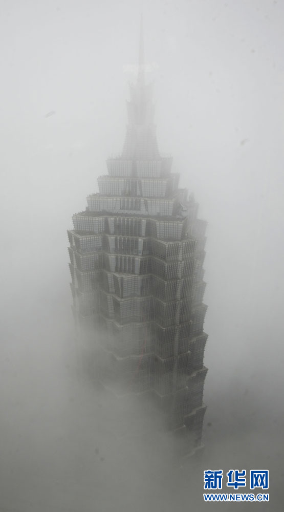 大雾袭击申城