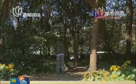 莲花路地铁站外绿地成垃圾堆和公厕 环境死角待整改