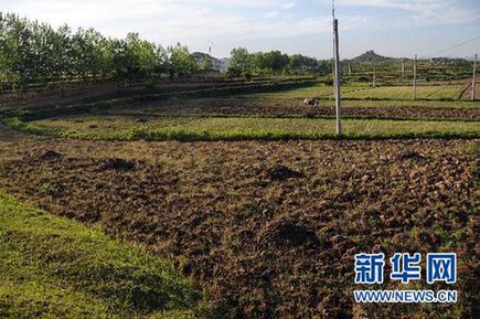 调查:千湖之省遭遇大旱之痛(组图)