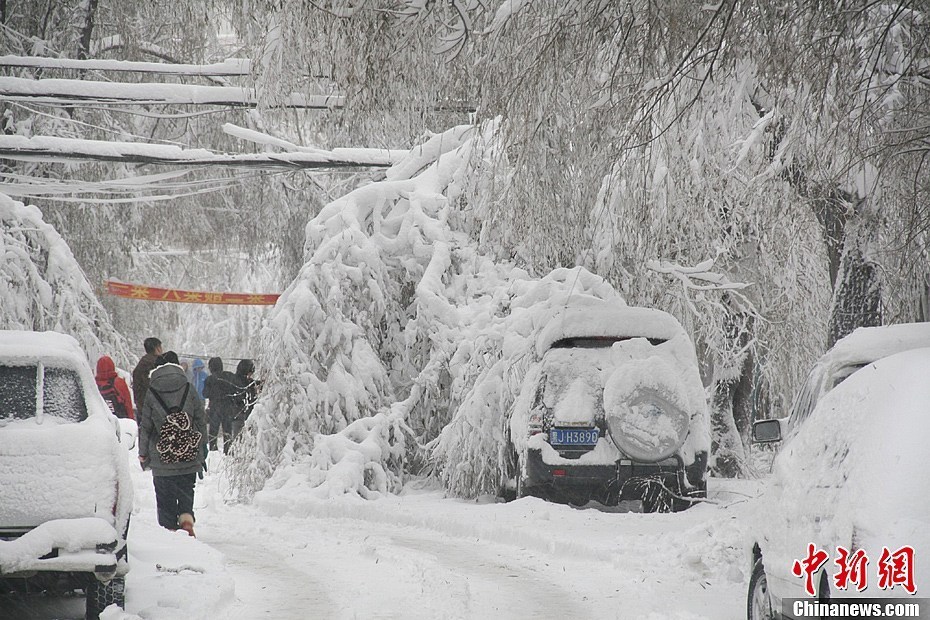 黑龙江鹤岗遭遇50年一遇暴雪(图)