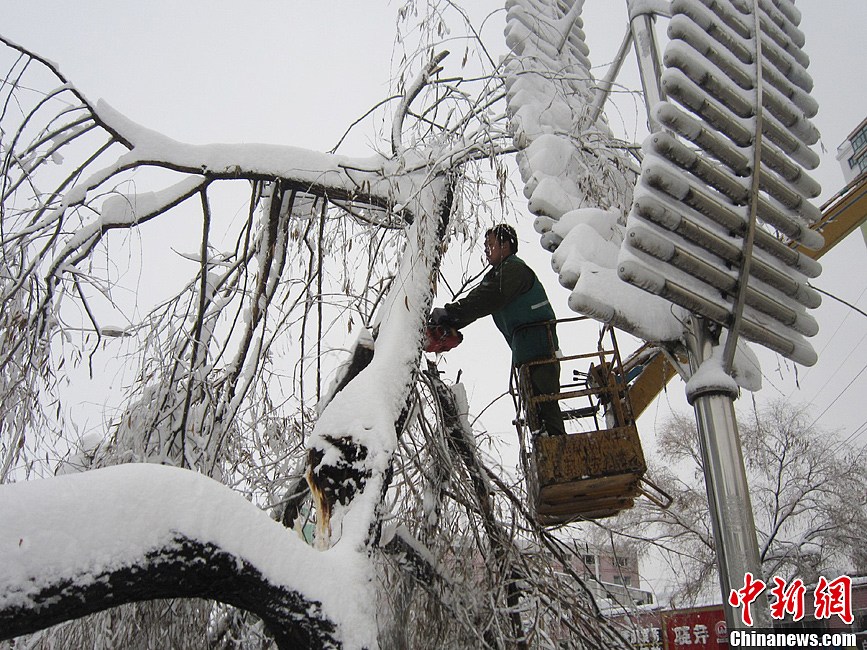 黑龙江鹤岗遭遇50年一遇暴雪(图)