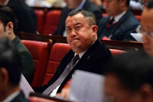 明星蜂拥穿官衣 星爷变委员艳星进政协
