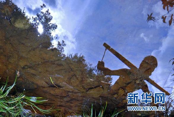 国务院部署工作力保粮食丰收 夯实经济基础