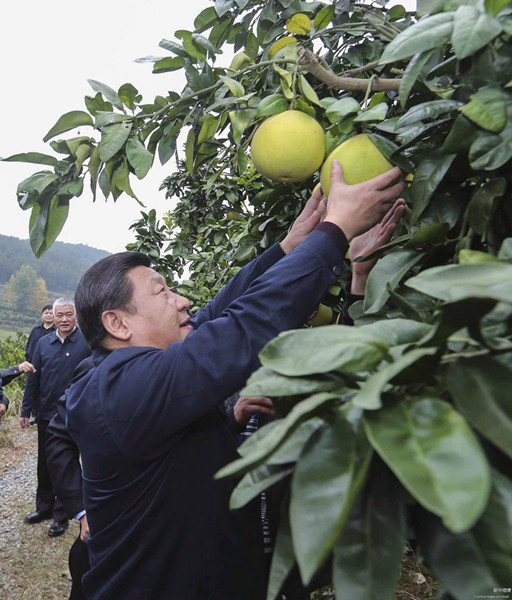 习近平在湖南考察时强调:深化改革开放推进创新驱动 实现全年经济社会发展目标