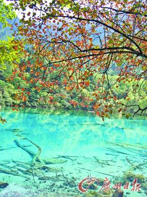 秋风起赏秋去 西部秋色渐入佳境（图）