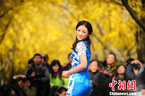 江苏扬州银杏大道美女邂逅美景演绎“金色浪漫”