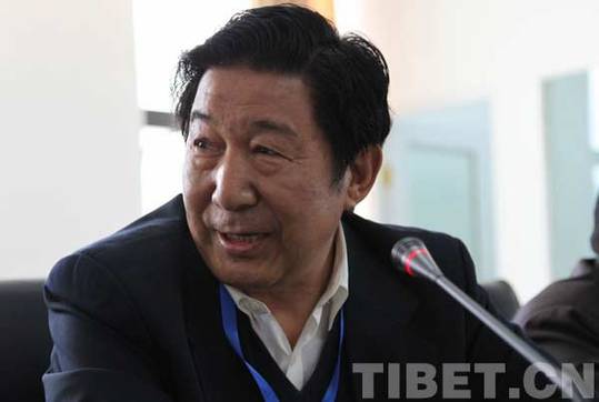 共论藏文化保护:海内外专家学者思想碰撞在拉萨
