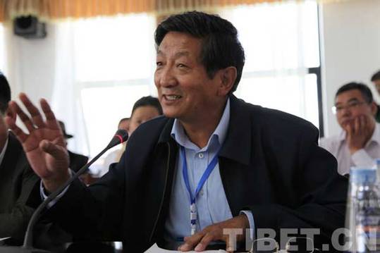 共论藏文化保护:海内外专家学者思想碰撞在拉萨