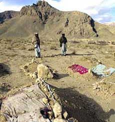 Afghans 'understand' deaths - US