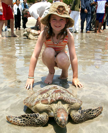 Foreign tourists release turtles into the sea at Kuta beach 