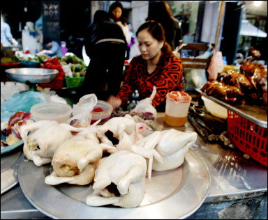A vendor sits behind a tray of chicken on sale at a market in downtown Hanoi. Vietnam has officially requested the help of the international community to tackle a bird flu epidemic and prepare a long-term plan to address the problem, the World Health Organisation said.(AFP/Hoang Dinh Nam) 