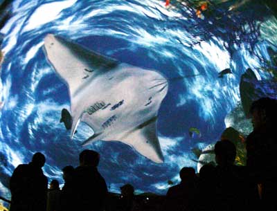 Visitors look at the Earth Room, the world's first 360-degree all-sky image system, during a media preview at the Japan Pavilion Nagakute of the 2005 World Exposition in Nagoya, central Japan March 18, 2005. The 185-day Expo opens on March 25.
