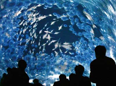 Visitors look at the Earth Vision, the world's first 360-degree all-sky image system, during a media preview at the Japan pavilion Nagakuke of the 2005 World Exposition in Nagoya, central Japan March 18, 2005. The 185-day Expo opens on March 25.